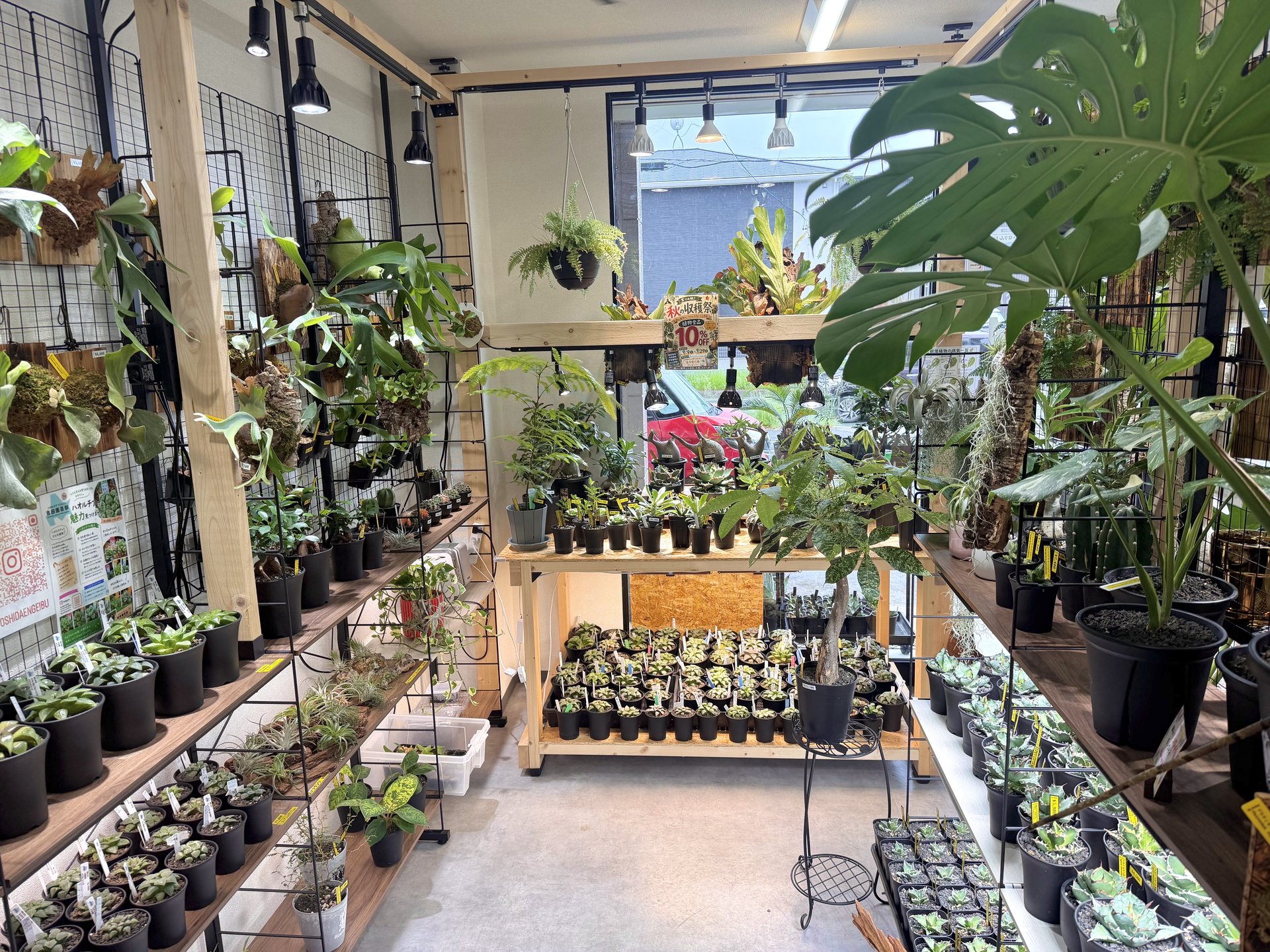 BLOOM Balloon&Plants SHOP
